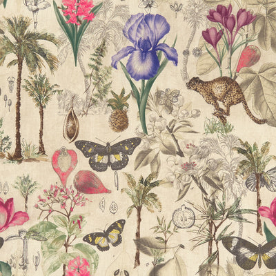 Clarke & Clarke Fabrics, a selection of fabrics such as velvet, damask, cotton, silk, linen and sheers.
