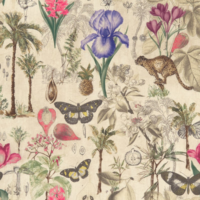 CLARKE & CLARKE - BOTANY - SUMMER