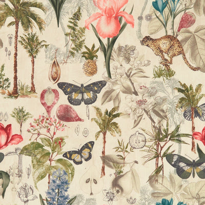 CLARKE & CLARKE - BOTANY - TROPICAL
