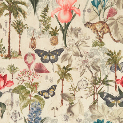 Clarke & Clarke Fabrics, a selection of fabrics such as velvet, damask, cotton, silk, linen and sheers.