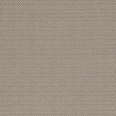 CLARKE & CLARKE - KAUAI - MOCHA