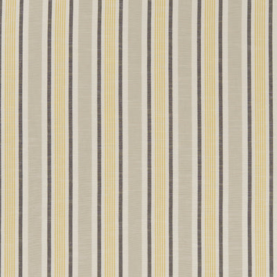 CLARKE & CLARKE - MAPPLETON - OCHRE