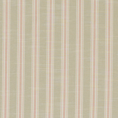 CLARKE & CLARKE - THORNWICK - BLUSH