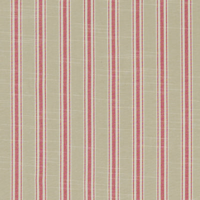 CLARKE & CLARKE - THORNWICK - FUCHSIA