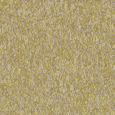 CLARKE & CLARKE - LOGAN - CHARTREUSE