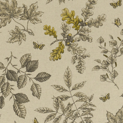 Clarke & Clarke Fabrics, a selection of fabrics such as velvet, damask, cotton, silk, linen and sheers.