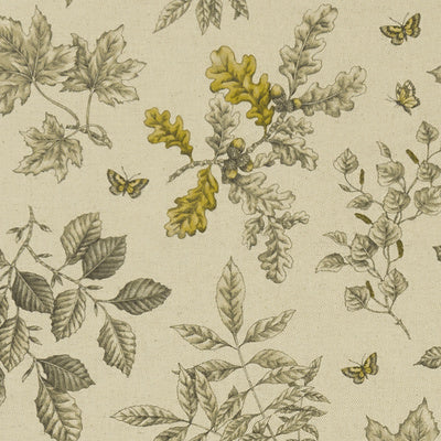Clarke & Clarke Fabrics, a selection of fabrics such as velvet, damask, cotton, silk, linen and sheers.
