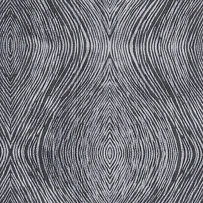 CLARKE & CLARKE - LUSTER - CHARCOAL