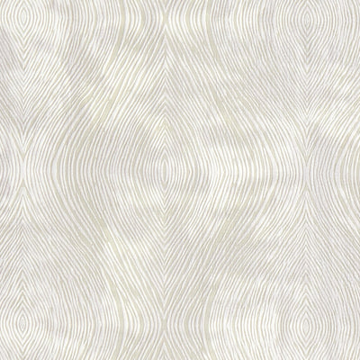 CLARKE & CLARKE - LUSTER - IVORY