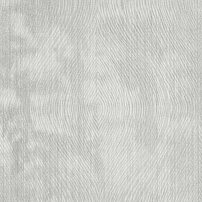 CLARKE & CLARKE - LUSTER - SILVER