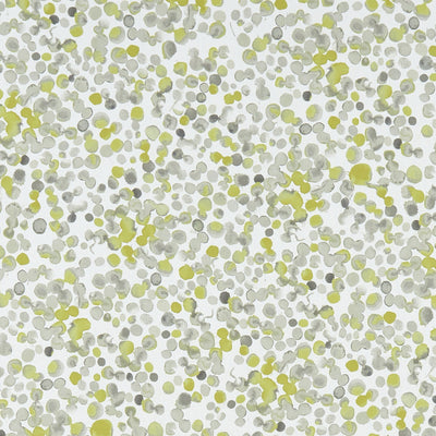 CLARKE & CLARKE - LUGAR - CHARTREUSE