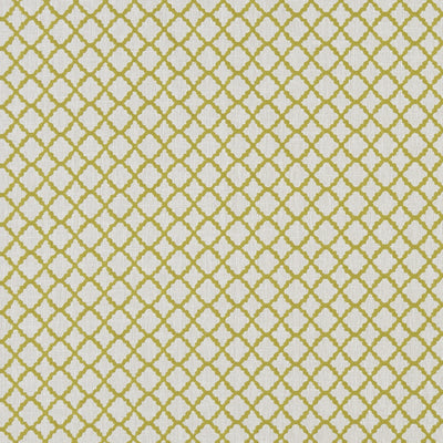 CLARKE & CLARKE - ARIYANA - CHARTREUSE