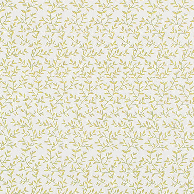 CLARKE & CLARKE - LILA - CITRUS