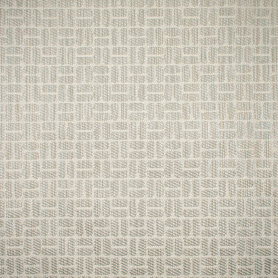 GREENHOUSE FABRICS -F1644 ICE