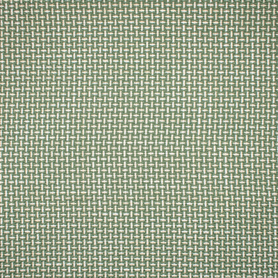 GREENHOUSE FABRICS -F1672 SPROUT