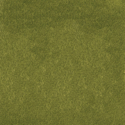 Greenhouse Fabrcs, a selection of fabrics such as  Velvet,Texture,Solid.