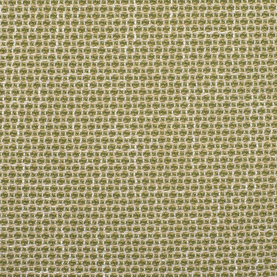 Greenhouse Fabrcs, a selection of fabrics such as  Woven,Geometric.