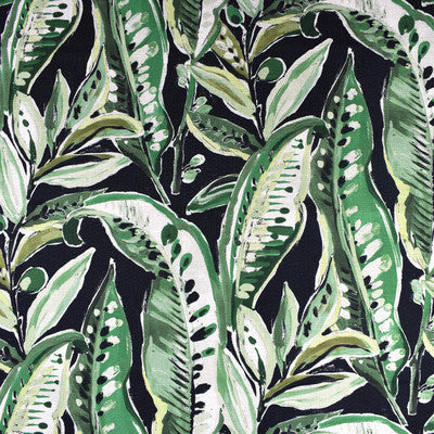Greenhouse Fabrcs, a selection of fabrics such as  Prints,Tropical, Floral.