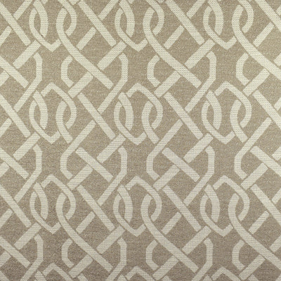 GREENHOUSE FABRICS -F2469 CANVAS