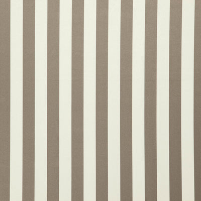 JF FABRICS-FALSETTO-38J7611