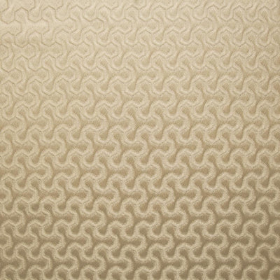 KASMIR FABRICS-FIDGET - PATINA