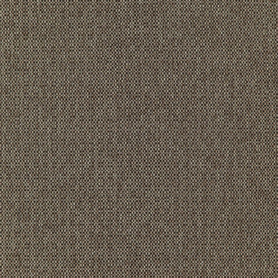 JF FABRICS-FIERCE-38J7391