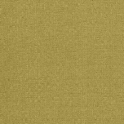 KASMIR FABRICS-FLYNN - WASABI