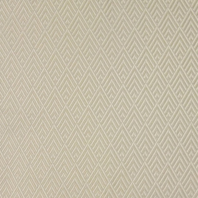 JF FABRICS-FRED-91J6081