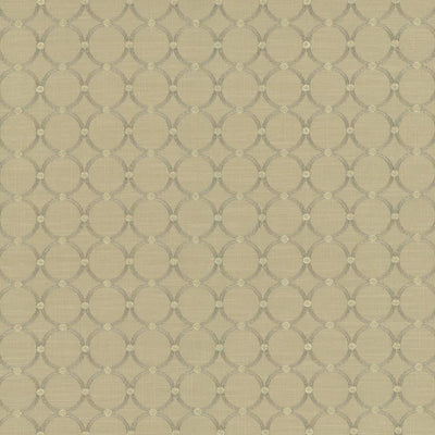 KASMIR FABRICS-FULL CIRCLE - STERLING