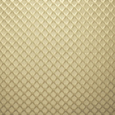 KASMIR FABRICS-GAINESWOOD - NATURAL