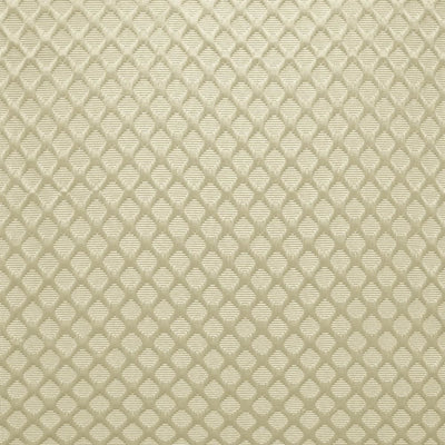 KASMIR FABRICS-GAINESWOOD - SILVER