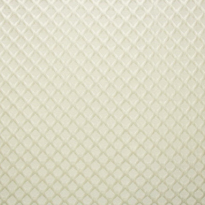 KASMIR FABRICS-GAINESWOOD - WHITE