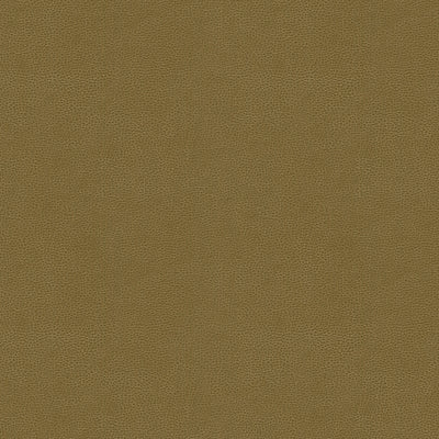 KRAVET DESIGN - GILLIAN-606