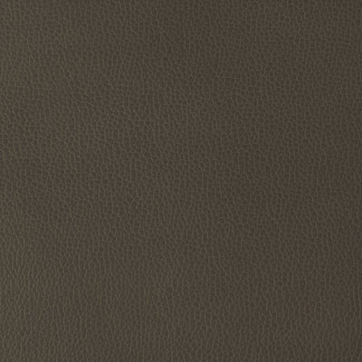 KRAVET DESIGN-GILLIAN-6666