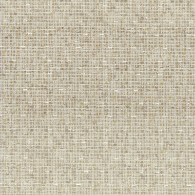 STOUT FABRICS-GORTHAM 3 RAFFIA