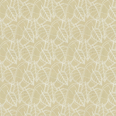 GROUNDWORKS FABRICS - FALL - WHITE