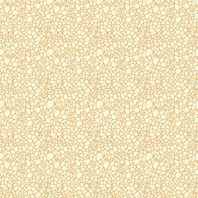 GROUNDWORKS FABRICS - PAVIMENTO - CONCH