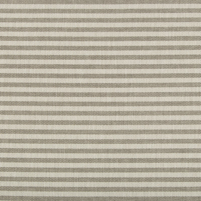 GROUNDWORKS FABRICS - RAYAS STRIPE - FOSSIL