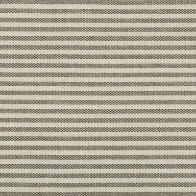 GROUNDWORKS FABRICS - RAYAS STRIPE - SOOT
