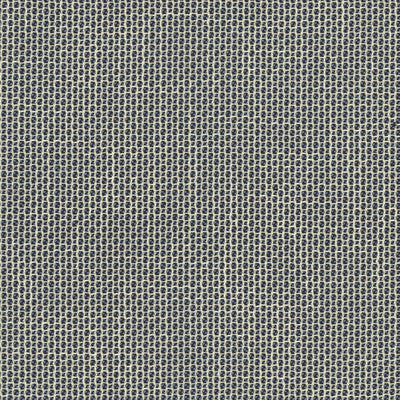 KASMIR FABRICS-HOME RUN - INDIGO