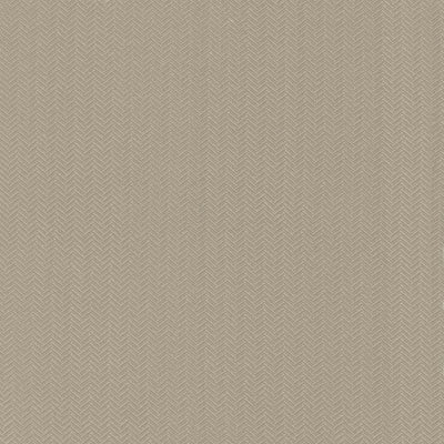 KASMIR FABRICS-HYPNOTIC - LATTE