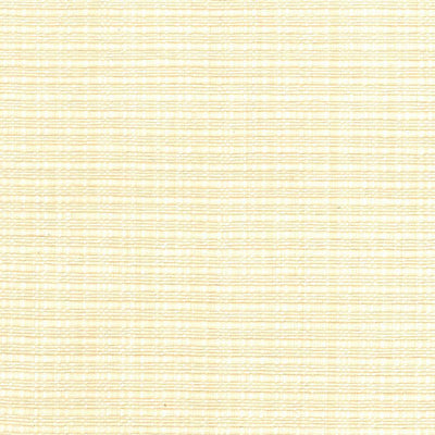 KASMIR FABRICS-IN FLUX - NATURAL