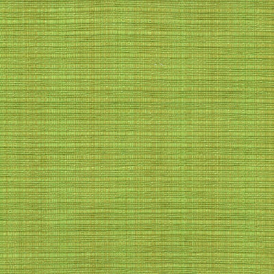 KASMIR FABRICS-IN FLUX - SNOW PEA