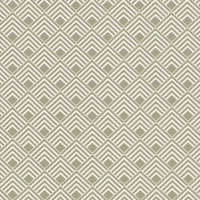 KASMIR FABRICS-INDICATE - GREY