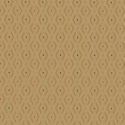 KASMIR FABRICS-INTERLINK - COIN