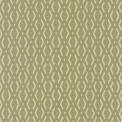 KASMIR FABRICS-INTERLINK - WASABI