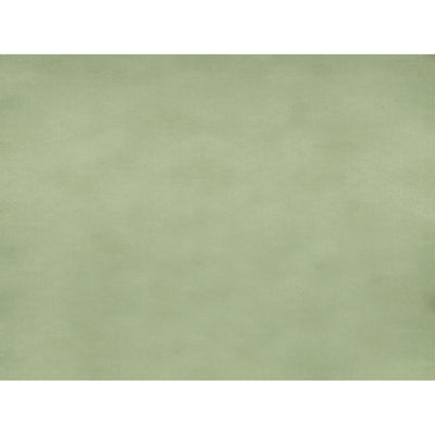 BRUNSCHWIG & FILS - SUKHOTHAI - CELADON GREEN