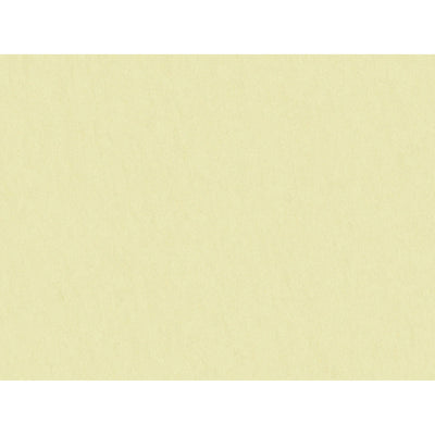 BRUNSCHWIG & FILS - SHOTS - PARCHMENT