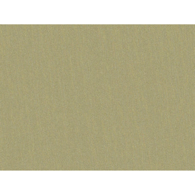 BRUNSCHWIG & FILS - SHOTS - GREIGE DORE