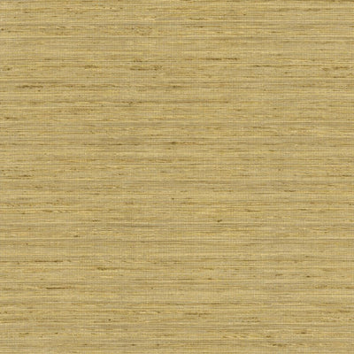 KASMIR FABRICS-KARMA - COIN